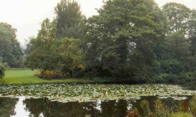 CNN-News beklagt eine grünere Arktis. Aber sollte Grün nicht etwas Gutes sein?