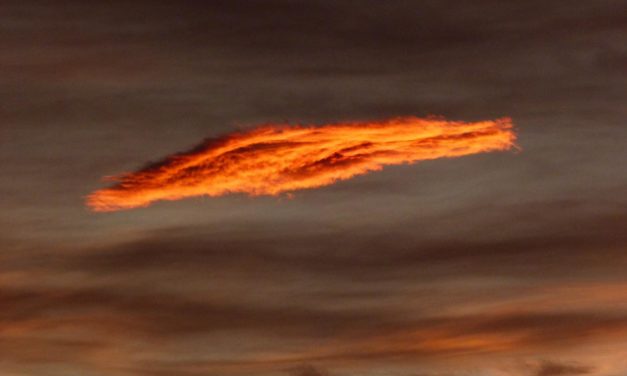 November&shy;rückschau: Wirkte Kohlendioxid fast 70 Jahre lang abkühlend in Deutschland?