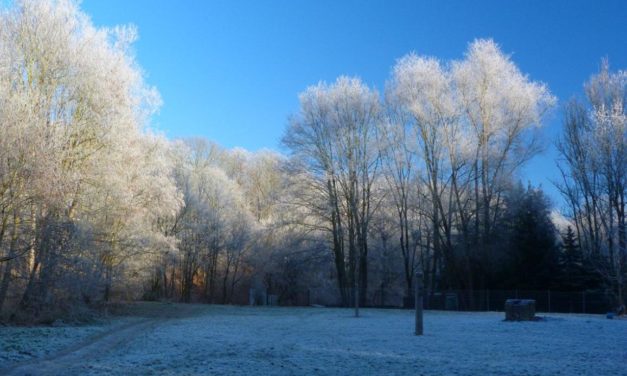 Winter – der Erwärmungs­verweigerer?