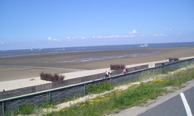 Anthropo­gener Treibhaus­effekt: nach wie vor zu schwach für die Klima­katastrophe!