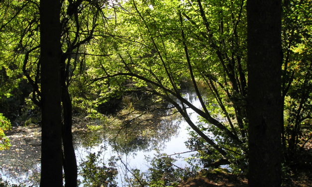 Die Gefährdung durch fossile Treibstoffe