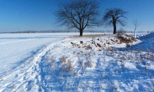 Hochwinter 2021 – etwas kälter als seine Vorgänger?