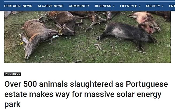 Grauslige Vorgänge: Spanische Solarfirma schlachtet 500 einheimische Wildtiere, um Platz für Solarpanels  zu machen