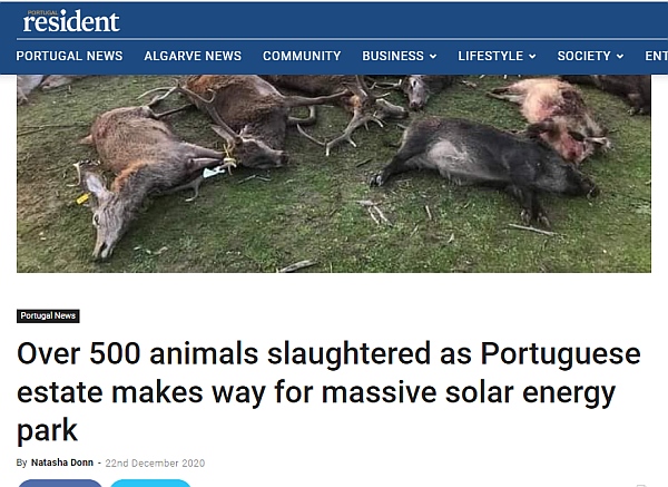 Grauslige Vorgänge: Spanische Solarfirma schlachtet 500 einheimische Wildtiere, um Platz für Solarpanels  zu machen