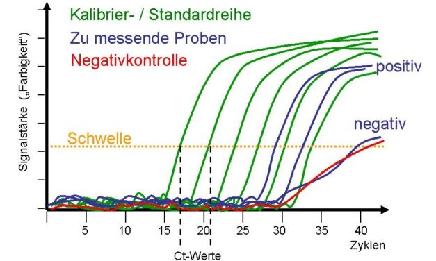 COVID-19 und Kreationismus: Widerlegen Borger et al. die Drosten-PCR?