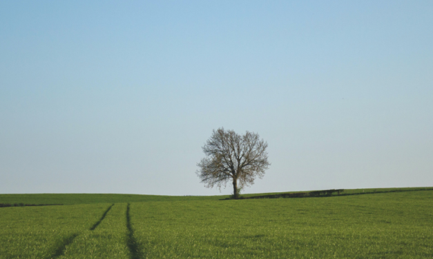 Warum ich Klima-Realist bin
