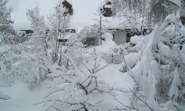 Kein Schnee mehr? Finnland glaubt, dass der Winter&shy;schnee in diesem Sommer nicht vollständig abtaut