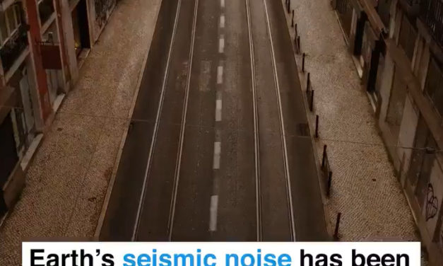 Die Architekten der Zerschlagung der Gesellschaft feiern die verordnete Ruhe der <i>Covid-Lockdown-Städte</i>