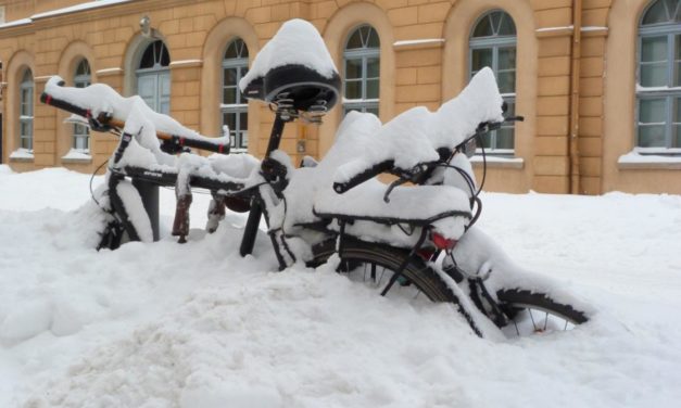 Winter 2020/21 – voller Überraschungen und meist falsch vorhergesagt