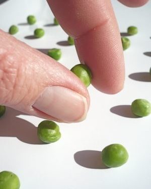 Labor-Experiment: Eine CO<sub>2</sub>-Zunahme von 0,04% auf 100% würde keine merkbare Erwärmung mit sich bringen!