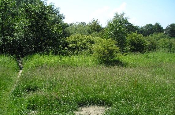 Es ist höchste Zeit, die Gefährdung von Entwicklungsländern durch CO₂-Vorschriften zu beenden