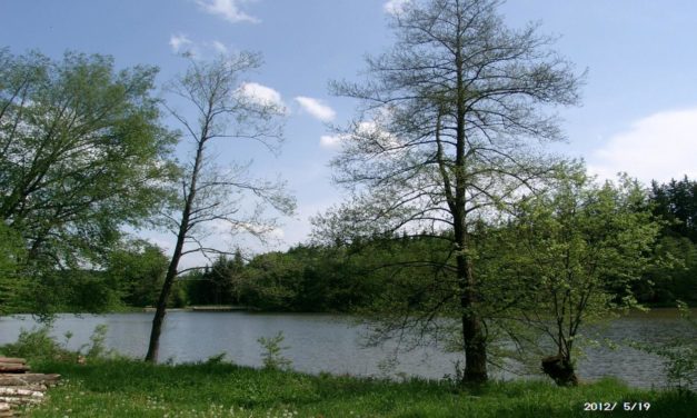 Vegetations&shy;beginn und Temperatur