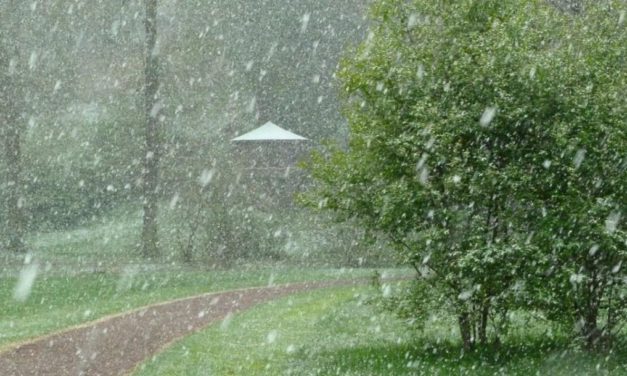 Aprilkälte 2021 in Deutschland – objektive Rückschau auf einen misslun&shy;genen Frühlings&shy;start. Vergleich mit früher.