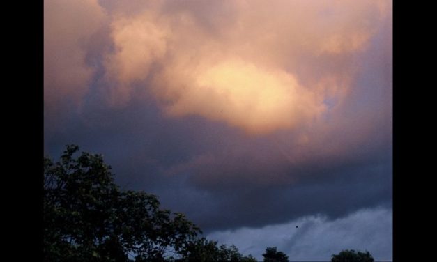 Der sich abzeichnende Thermostat