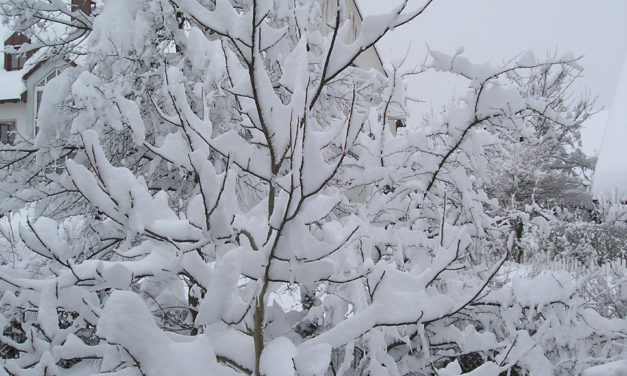 Ist die jüngste Rekord-Kälte einfach nur La Niña geschuldet – oder dem Beginn einer globalen Abkühlung?