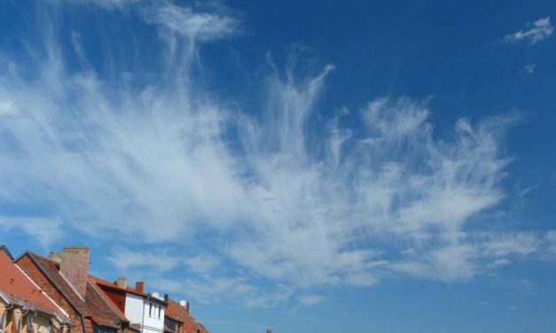 Nach dem zweiten Corona-Frühling: CO<sub>2</sub>-Konzen&shy;tration steigt trotzdem überdurch&shy;schnittlich