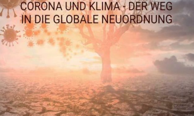 Die grosse Transformation- Corona und Klima. Der Weg in die globale Neuordnung.