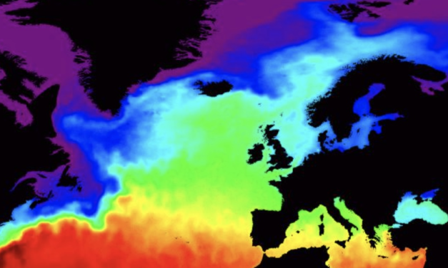 Klimamodelle versagen in repräsentativen Regionen der Überprüfung