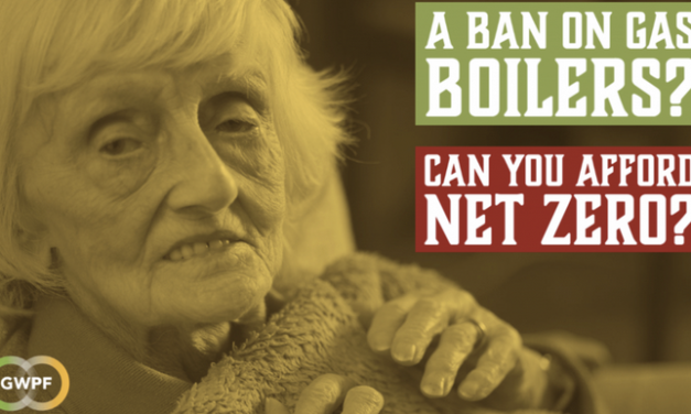 Wir werden einen hohen Preis zahlen müssen für die <i>Net Zero</i>-Agenda