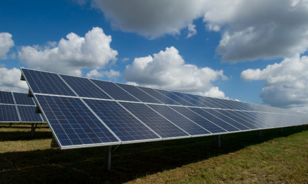 Die Grünenergie-Phantaste&shy;reien der International Energy Agency sind ein Witz!