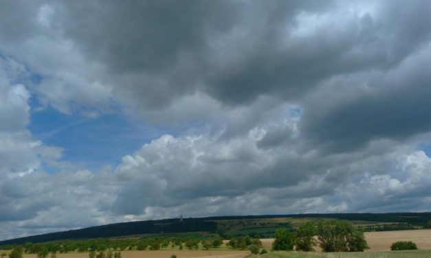 Mäßig warmer, sehr wechselhafter Juli 2021 in Deutschland – ein typischer Hochsommermonat