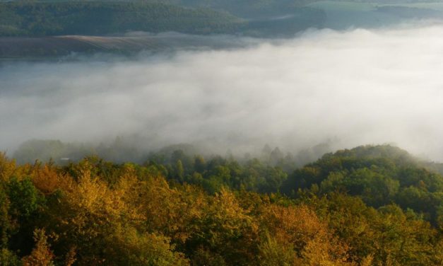 Die Entwicklung der mittleren Minimum-Temperaturen in Deutschland seit 1988 – kaum Erwärmung? Teil 1 – die schwierige Suche nach Daten