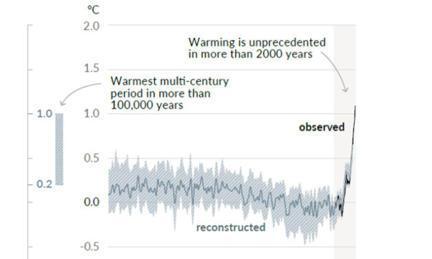 Neuer IPCC-Bericht lässt den Hockeyschläger wieder auferstehen