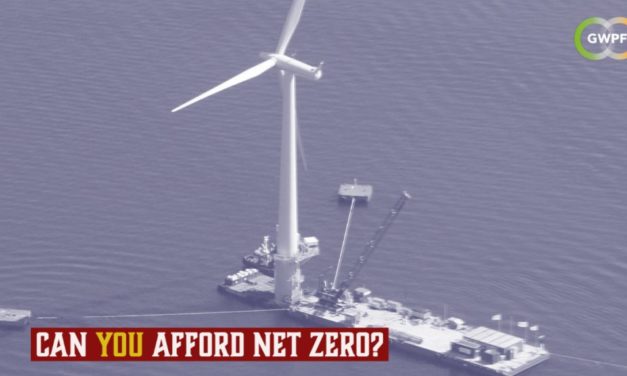 Die nivellierten Kosten der schwimmenden Offshore-Windparks