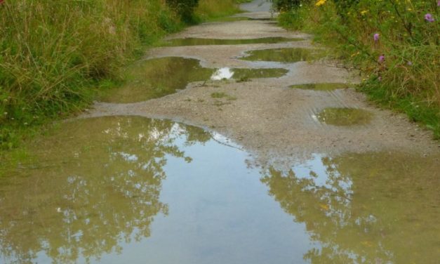 Die Juli-Erwärmung der letzten 140 Jahre in Deutschland – CO2 ist nicht deren Ursache