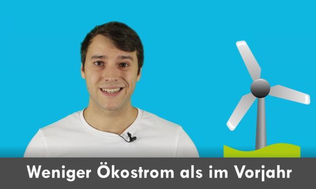 Neues Format unserer Videos: „Klimawissen – kurz&bündig“