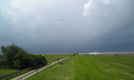 Studie: Der „Pisaeffekt“ beschleunigt signifikant den Klimawandel