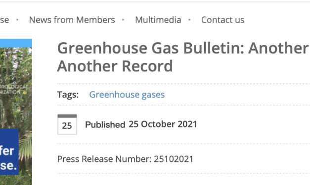 Weltweite COVID 19 begründete Lockdowns ändern am Anstieg der CO2 Konzentration nichts – WMO fordert trotzdem CO2 Reduktion zu verstärken