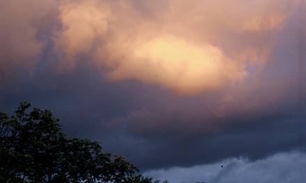 Kapitalismus und Kohlenstoff-Emissionen retten Leben!