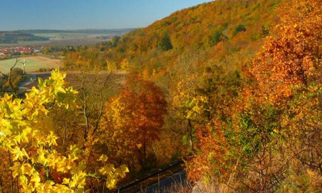 Oktober 2021 in Deutschland – ein typischer Vollherbstmonat Frühfröste und milde Tage, Sonne, Flauten und Stürme im Gilbhart 2021