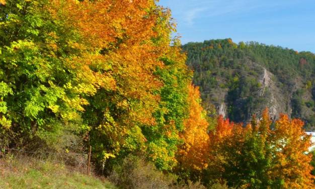 Oktober 2021 – Laut DWD trocken und überdurchschnittlich sonnig