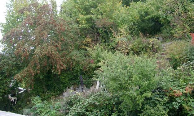 Keine September-Klimaerwärmung in Deutschland – Wo bleibt die angebliche Klimakatastrophe durch das Gas Kohlendioxid?