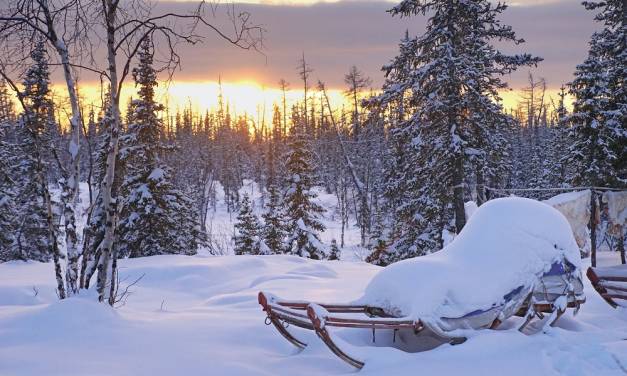Durch Allergie gegen Fakten schädigen Politiker ihre Bürger!