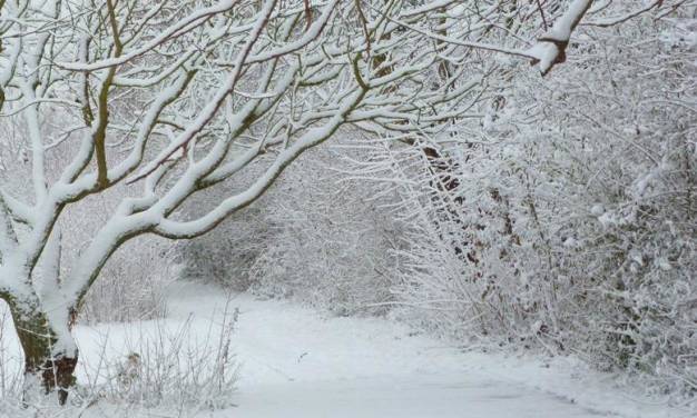 Winter 2021/22 – Eher normal bis mild?