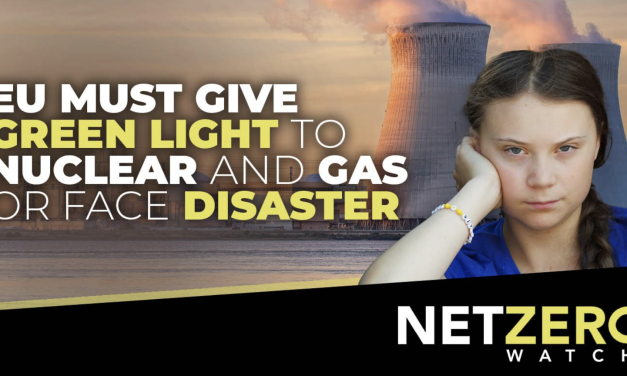Entweder die EU gibt grünes Licht für Gas und Kernkraft – oder es kommt zur Katastrophe