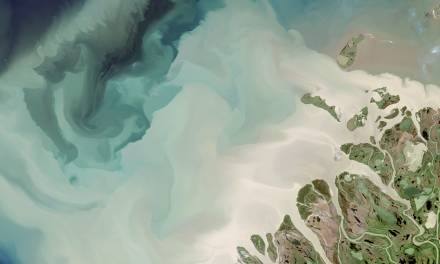 Warum und wie ändert sich das Erdklima? Das vollständige Bild der Klimadynamik der Erde