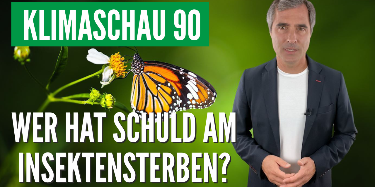 Die Klimaschau von Sebastian Lüning: Wer hat Schuld am Insektensterben?