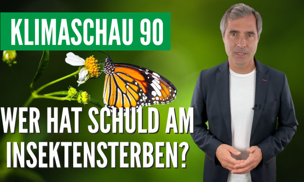 Die Klimaschau von Sebastian Lüning: Wer hat Schuld am Insektensterben?