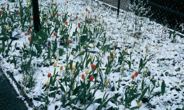 Keine statistisch signifikante globale Erwärmung seit 9 Jahren und 3 Monaten