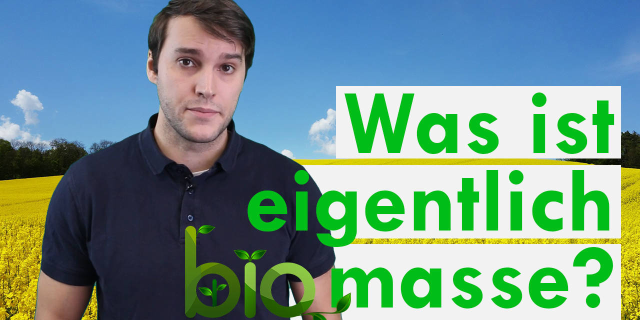 Ist Biomasse die beste Öko-Energieform? – Klimawissen kurz&bündig