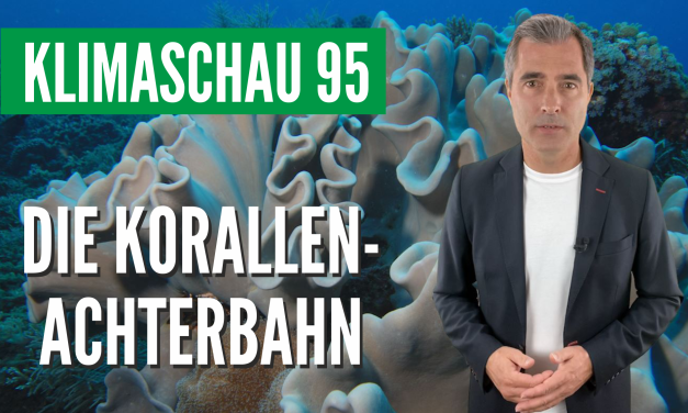 Die Klimaschau von Sebastian Lüning: Die Korallen-Achterbahn