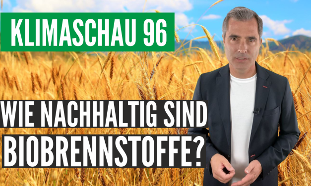 Die Klimaschau von Sebastian Lüning: Wie nachhaltig sind Biobrennstoffe wirklich?