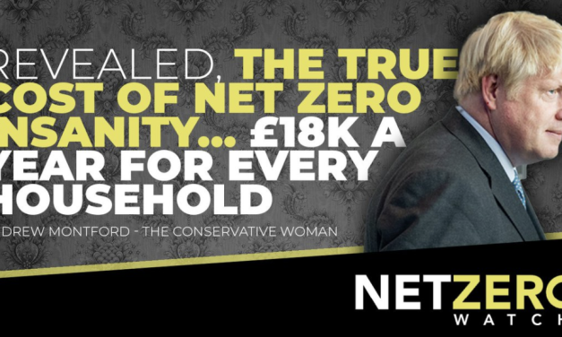 Enthüllt: die wahren Kosten des „Net Zero“-Wahns – 18.000 Pfund für jeden Haushalt