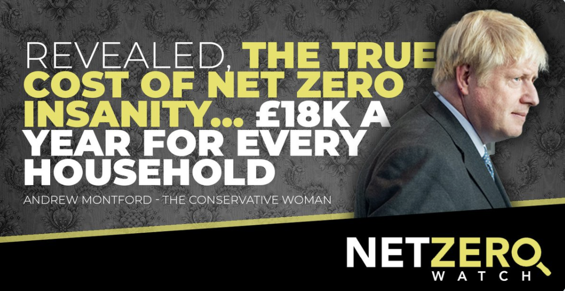 Enthüllt: die wahren Kosten des „Net Zero“-Wahns – 18.000 Pfund für jeden Haushalt