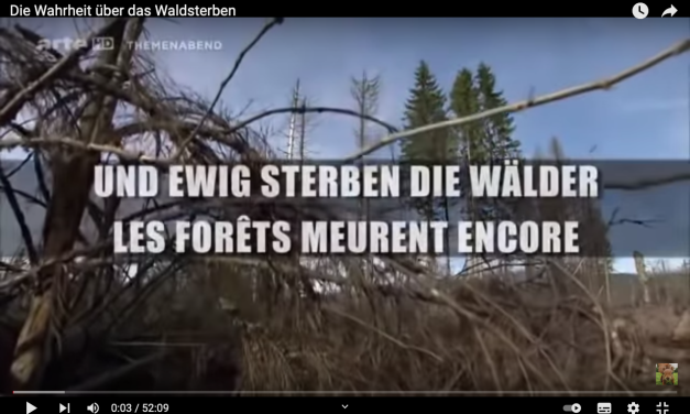 Aufklärung ist möglich – fulminantes BR/ARTE-Video zum angeblichen Waldsterben der 80er