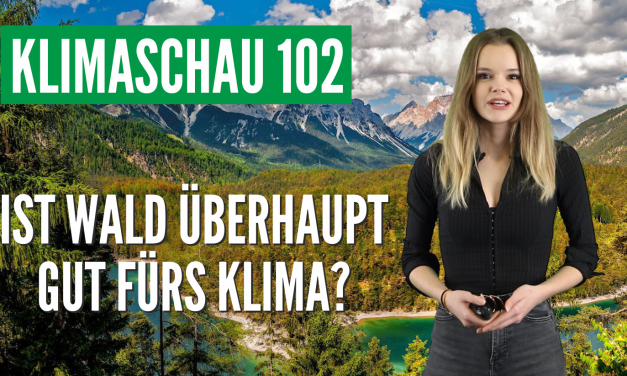 Die Klimaschau von Sebastian Lüning: Was macht der Wald mit dem Klima?